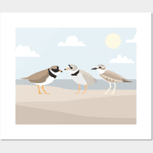 Plover Lover Posters and Art